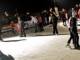 Patinoar Parcul Tineretului (Crisan) - drobeta-turnu-severin